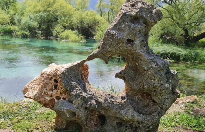 Mos harro bamirësinë e Zotit!